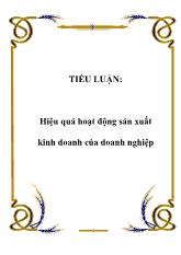 Tiểu luận Hiệu quả hoạt động sản xuất kinh doanh của doanh nghiệp