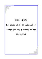 Tiểu luận Lợi nhuận và chế độ phân phối lợi nhuận trong Công ty xe máy - Xe đạp Thống Nhất