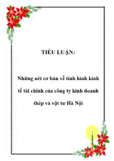 Tiểu luận Những nét cơ bản về tình hình kinh tế tài chính của công ty kinh doanh thép và vật tư Hà Nội
