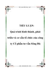 Tiểu luận Quá trình hình thành, phát triển và cơ cấu tổ chức của công ty Cổ phần tư vấn Sông Đà