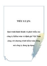 Tiểu luận Quá trình hình thành và phát triển của công ty Kiểm toán và định giá Việt Nam cùng với chương trình kiểm toán riêng mà công ty đang áp dụng