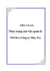 Tiểu luận Thực trạng của việc quản lý tài sản cố định của Công ty Mây Tre