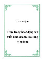 Tiểu luận Thực trạng hoạt động sản xuất kinh doanh của công ty Hạ Long