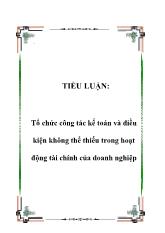 Tiểu luận Tổ chức công tác kế toán và điều kiện không thể thiếu trong hoạt động tài chính của doanh nghiệp