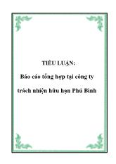 Tiểu luận Tổng hợp tại công ty trách nhiện hữu hạn Phú Bình