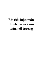 Bài Tiểu luận môn thanh tra và kiểm toán môi trường