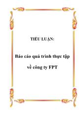 Báo cáo Quá trình thực tập về công ty FPT