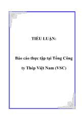 Báo cáo Thực tập tại tổng công ty thép Việt Nam (vsc)