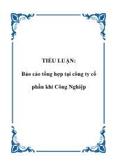 Báo cáo Tổng hợp tại công ty cổ phần khí Công Nghiệp