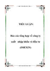 Báo cáo Tổng hợp về công ty xuất nhập khẩu và đầu tư (IMEXIN)