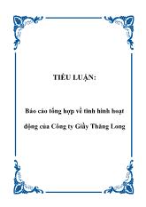 Báo cáo Tổng hợp về tình hình hoạt động của Công ty Giầy Thăng Long