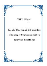 Báo cáo Tổng hợp về tình hình thực tế tại công ty Cổ phần sản xuất và dịch vụ cơ điện Hà Nội