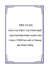 Đề tài Quá trình hình thành và phát triển Công ty TNHH Sản xuất và Thương mại Thành Thắng