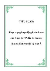Đề tài Thực trạng hoạt động kinh doanh của Công ty CP đầu tư thương mại và dịch vụ bảo vệ Việt Á