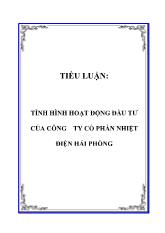 Đề tài Tình hình hoạt động đầu tư của công ty cổ phần nhiệt điện Hải Phòng