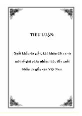 Đề tài Xuất khẩu da giầy, khó khăn đặt ra và một số giải pháp nhằm thúc đẩy xuất khẩu da giầy của Việt Nam