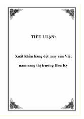 Đề tài Xuất khẩu hàng dệt may của Việt nam sang thị trường Hoa Kỳ