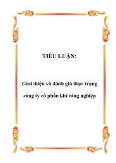 Gìới thiệu và đánh giá thực trạng công ty cổ phần khí công nghiệp