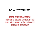 Hiệu quả khai thác chương trình du lịch “Củ chi - Tây ninh” của công ty du lịch Đệ Nhất