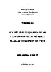Kiểm soát rủi ro tín dụng trong cho vay các doanh nghiệp vừa và nhỏ tại các ngân hàng thương mại địa bàn TP Hồ Chí Minh