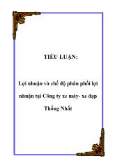 Lợi nhuận và chế độ phân phối lợi nhuận tại Công ty xe máy - Xe đạp Thống Nhất
