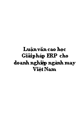 Luận văn cao học Giải pháp ERP cho doanh nghiệp ngành may Việt Nam