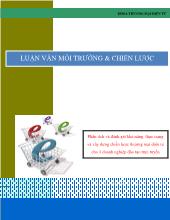 Luận văn Môi trường và chiến lược