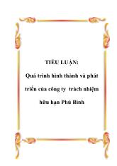 Quá trình hình thành và phát triển của công ty trách nhiệm hữu hạn Phú Bình