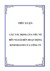 Tiểu luận Các tác động của yếu tố bên ngoài đến hoạt động kinh doanh của công ty