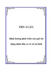 Tiểu luận Định hướng phát triển của quỹ tín dụng nhân dân cơ sở xã An Bình