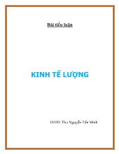 Tiểu luận Kinh tế lượng