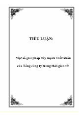 Tiểu luận Một số giải pháp đẩy mạnh xuất khẩu của Tổng công ty trong thời gian tới