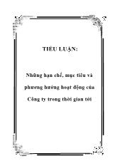 Tiểu luận Những hạn chế, mục tiêu và phương hư ớng hoạt động của Công ty trong thời gian tới