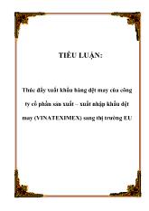Tiểu luận Thúc đẩy xuất khẩu hàng dệt may của công ty cổ phần sản xuất – Xuất nhập khẩu dệt may (VINATEXIMEX) sang thị trường EU