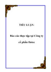 Tiểu luận Thực trạng tại Công ty cổ phần fintec