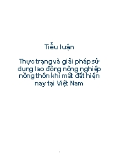 Tiểu luận Thực trạng và giải pháp sử dụng lao động nông nghiệp nông thôn khi mất đất hiện nay tại Việt Nam