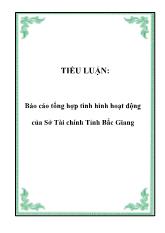 Tiểu luận Tình hình hoạt động của Sở Tài chính Tỉnh Bắc Giang