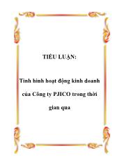 Tiểu luận Tình hình hoạt động kinh doanh của Công ty PJICO trong thời gian qua
