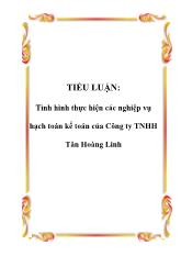 Tiểu luận Tình hình thực hiện các nghiệp vụ hạch toán kế toán của Công ty TNHH Tân Hoàng Linh