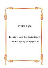 Tiểu luận Tình hình thực tập tại Công ty TNHH và dịch vụ lao động Bắc Hà