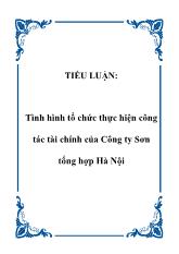 Tiểu luận Tình hình tổ chức thực hiện công tác tài chính ở Công ty Sơn tổng hợp Hà Nội
