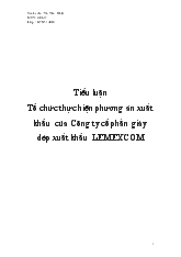 Tiểu luận Tổ chức thực hiện phương án xuất khẩu của công ty cổ phần giày dép xuất khẩu lemexcom