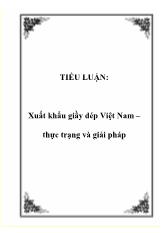 Tiểu luận Xuất khẩu giầy dép Việt Nam – Thực trạng và giải pháp