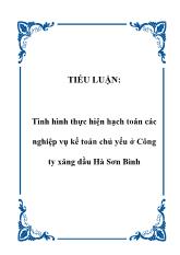 Tình hình thực hiện hạch toán các nghiệp vụ kế toán chủ yếu tại Công ty xăng dầu Hà Sơn Bình