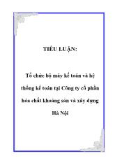 Tổ chức bộ máy kế toán và hệ thống kế toán ở Công ty cổ phần hóa chất khoáng sản và xây dựng Hà Nội