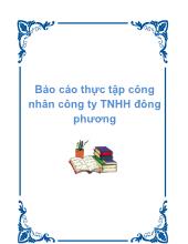 Báo cáo Thực tập công nhân công ty TNHH đông phương