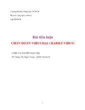 Chẩn đoán virus dại (rabies virus)