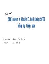 Đề tài Chuẩn đoán vi khuẩn E. Coli nhóm stec bằng kỹ thuật gen