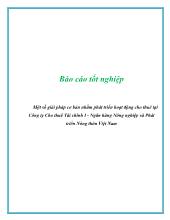 Đề tài Một số giải pháp cơ bản nhằm phát triển hoạt động cho thuê ở công ty cho thuê tài chính i - Ngân hàng nông nghiệp và phát triển nông thôn Việt Nam