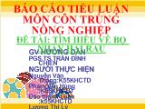 Đề tài Tìm hiểu về bọ nhảy hại rau